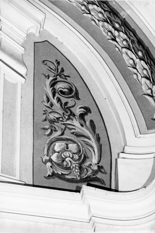Motivi decorativi fitomorfi e testine angeliche (dipinto) - ambito romano (primo